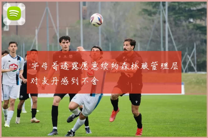 字母哥透露愿意续约森林狼管理层对麦丹感到不舍